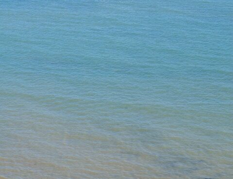 Maximize Your Miles: A Comprehensive Guide to Travel Rewards Programs