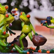 group travel packages