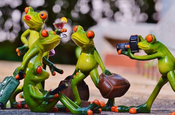 Exploring Together: The Benefits of Group Travel Packages