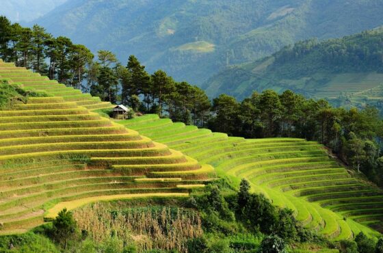 10 Ways to Make Your Next Trip More Eco-Friendly